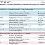 evolution and homosexuality